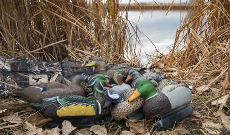 Where To Place Your Duck Decoys Hunting Tips And Tactics