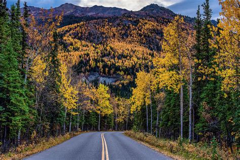 Denali National Park Fall Colors Alaska USA World Location Photograph ...