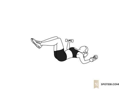 Chest Fly | Illustrated Exercise Guide