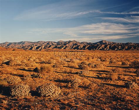 California Desert Picture And HD Photos | Free Download On Lovepik