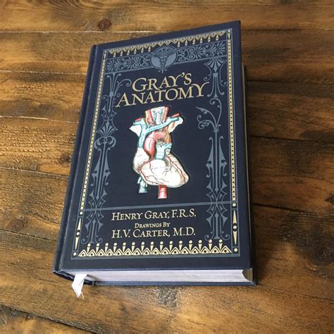 Grays Anatomy Leatherbound Book Author Henry Depop