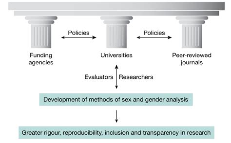 Policy Gendered Innovations