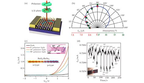 Recent Progress In Polarization Sensitive Photodetectors Based On Low