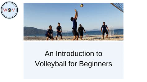 An Introduction To Volleyball For Beginners Wonder Of Volleyball