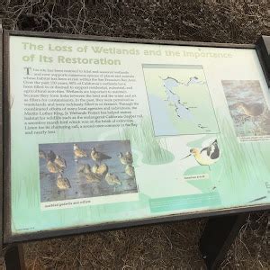 Read The Plaque The Loss Of Wetlands