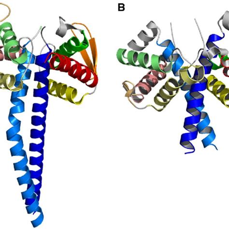 Structural Similarity Between Pan3 And Caprin 1 Dimerization Domains