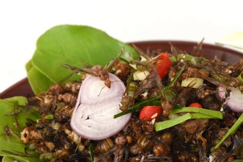 51 Creepy Crawlies That You Can And Should Eat