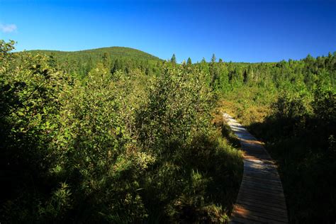 Hiking NB - Portage Trail