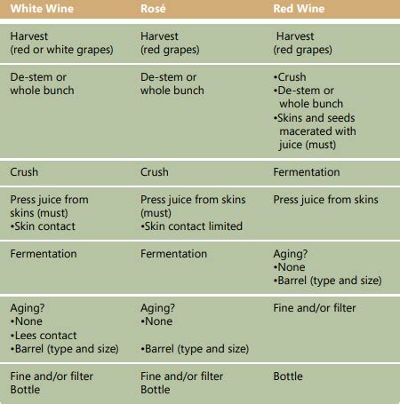 Vinification: The Art of Winemaking Flashcards | Quizlet