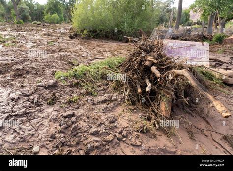 Severe erosion damage caused by flash flooding after vegetation loss ...