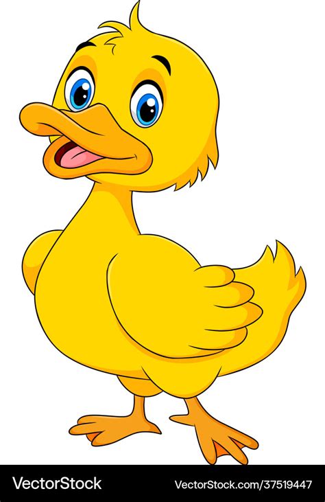 Duck cartoon Royalty Free Vector Image - VectorStock