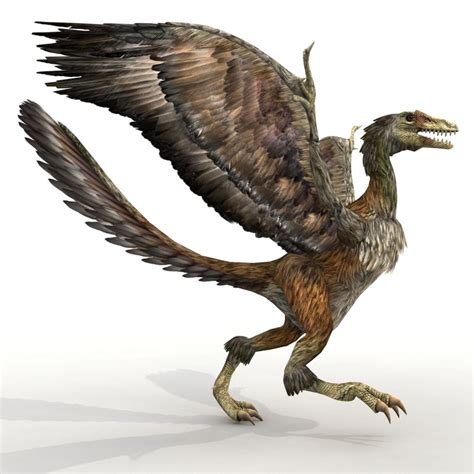 Archaeopteryx 3d Model 59 Max Free3d