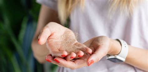 Enfermedades Del Cuero Cabelludo Más Comunes Inpylus