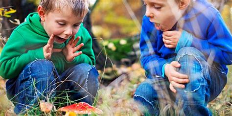 Exploring The World Of Science With Your Child Naeyc