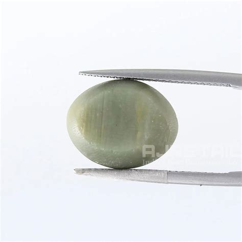 Carat Natural Cats Eye Stone With Lab Certified At Rs Carat