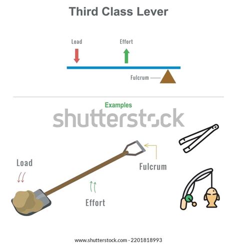 First Class Lever