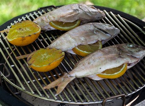 AHUMADO DE PESCADOS EN KAMADO ARGENTINO Kamado Argentino CL