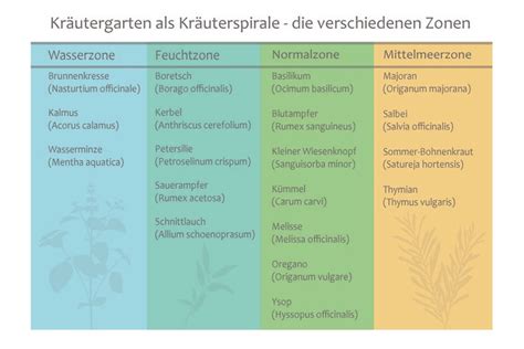 Welche Kräuter passen nebeneinander zusammen Pflanzen Tabelle