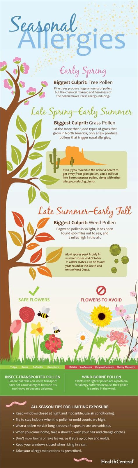 Fall Allergies – Fairfield Bay Pharmacy