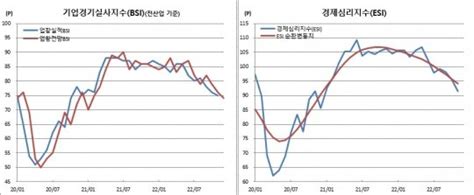 기업심리bsi 1년11개월만 최저인플레·주요국 금리인상에 경기불확실 네이트 뉴스