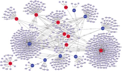 Constructed Protein Protein Interaction Networks Of The Top 10 Up And