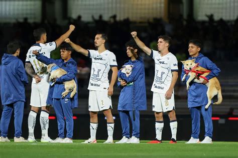 Pumas Aprovecha Su Partido En Cu Para Promover La Adopci N