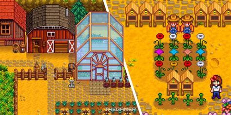 How To Make Your Farm More Efficient In Stardew Valley