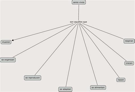 Informatica I Mapa Conceptual De Los Seres Vivos Hot Sex Picture