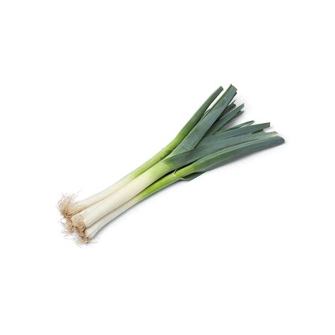 Leeks Usa Bag 12 Bundle