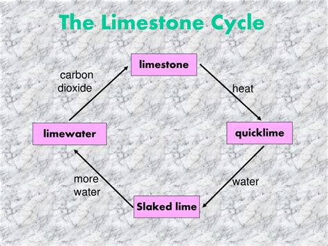 PPT - The limestone cycle PowerPoint Presentation, free download - ID ...