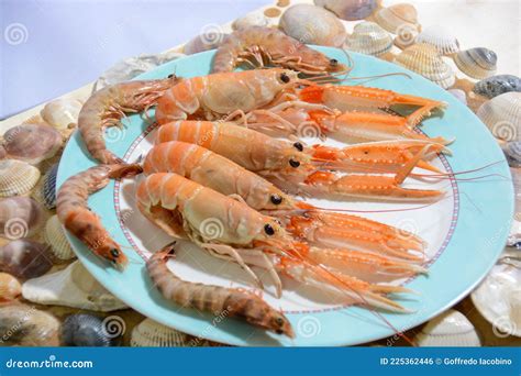 Italian Seafood Freshly Stock Photo Image Of Shrimp 225362446