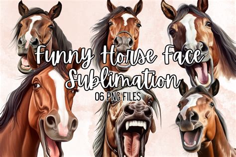 Funny Horse Faces