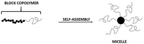 Schematic Illustration Of A Block Copolymer Self Assembly In Micelles Download Scientific