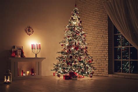 How To Pick The Perfect Christmas Trees In Easy Steps The