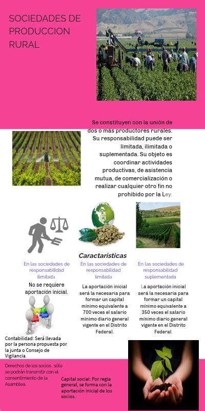 Sociedades De Producci N Rural