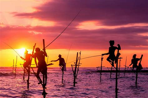 Tradition Of Stilt Fishing In Galle Sri Lanka R Nationalgeographic