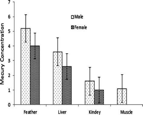 Mercury Concentration μg G−1 Dry Weight In The Tissues Of Male And Download Scientific