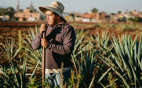 De Donde Viene La Palabra Chamba La Voz De La Frontera Noticias