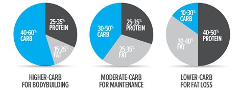 YOUR MACROS EXPLAINED Fuelledup Net