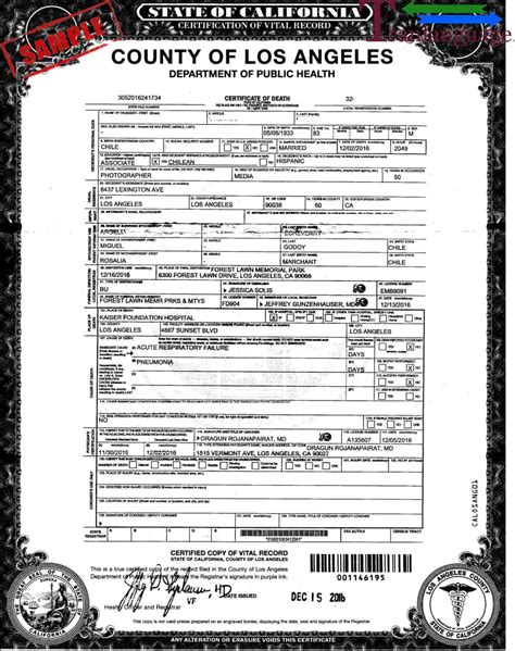 California Death Certificate Blank Form