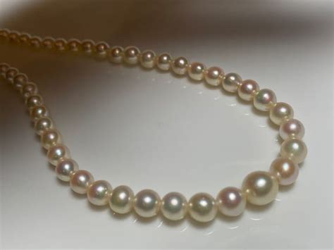 Authentic Japanese Akoya Graduated Pearl Necklace - Gem