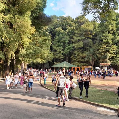 horto florestal em sp  parque  cafe colonial  museu  voce