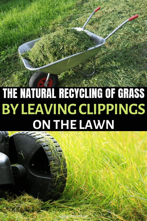 The Natural Recycling Of Grass By Leaving Clippings On The Lawn