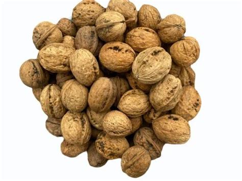 Whole Shelled Kashmiri Walnuts At Rs 400 Kg In Pampora ID 7100663133