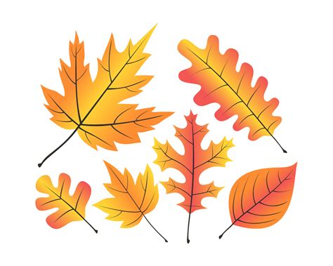 Leaves Orange Yellow And Red Simple Drawing Png