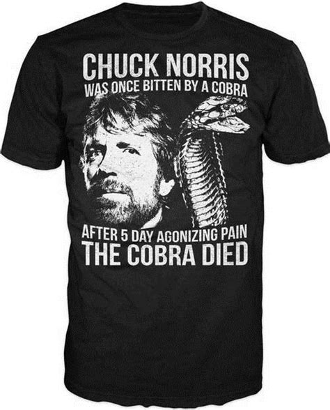 11 Awesome Chuck Norris T-Shirts - Teemato.com