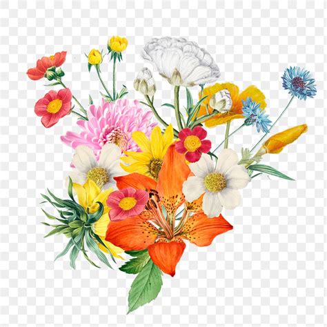 Aesthetic Flower Png Sticker Botanical Premium Png Rawpixel