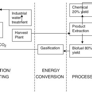 5. Schematic diagrams for the production of biofuel and fine chemicals... | Download Scientific ...