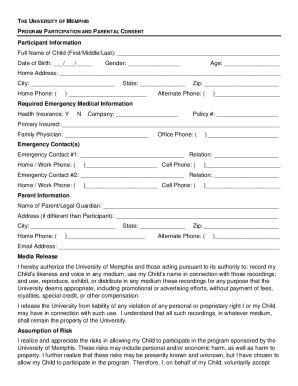 Fillable Online Free Consent Form Template Sample PDF Word EFormsFree