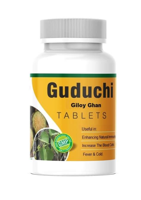 Alka Ayurvedic Pharmacy Natural Ayurvedic Giloy Ghan Ext Tablet